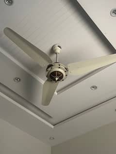 3 ceiling fan