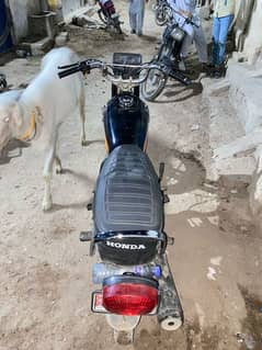 hero 125 hai jis bhai KO chahiye so rbta karw