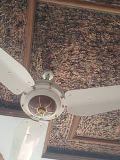 fan  very good condition 10/10