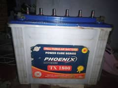 Used Phoenix TX 1800 Tall Tubular