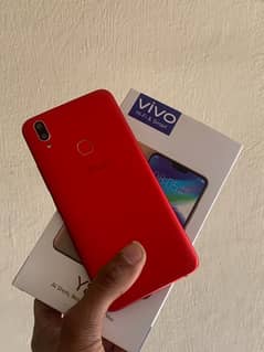 vivo