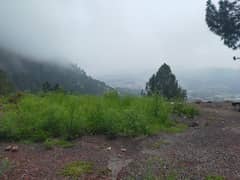 2 Kanal Plot For Sale At Khatwal Thandiani Abbottabad