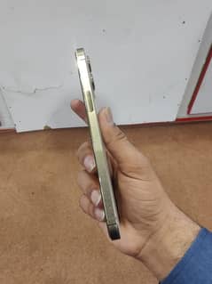 iphone 12 pro max golden JV