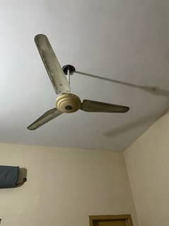 FAN for sale