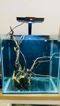 1.5 ft cube with back sump. all in one fish aquarium