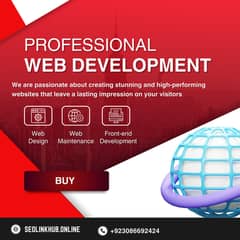 website development and meta ads or seo expert