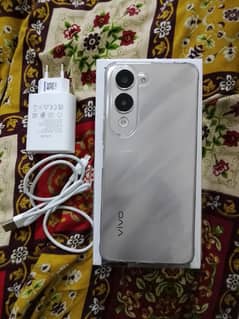 vivo