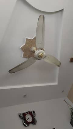 The Royal deluxe Fan used 56"