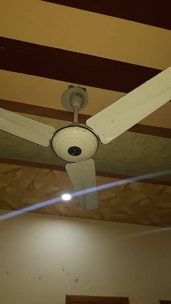 GFC Ceiling FAN 1