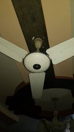 GFC Ceiling FAN