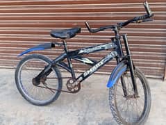 20inch Bicycle