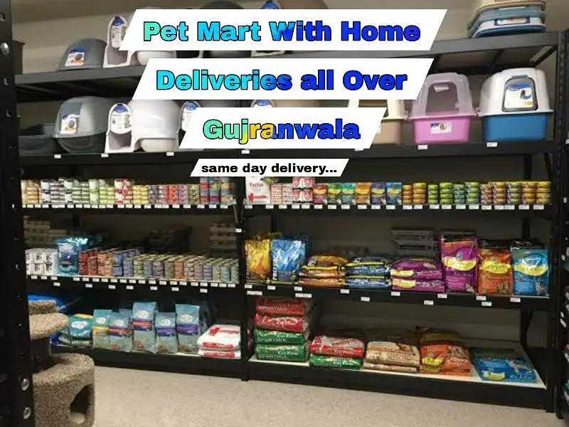 Only Pet Mart By Vet Treats