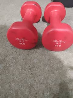 Vinyl dumbbells