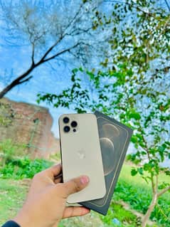 iPhone 12 Pro Max pta approve