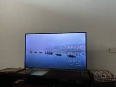 TCL L55p8 55 inch 4k smart