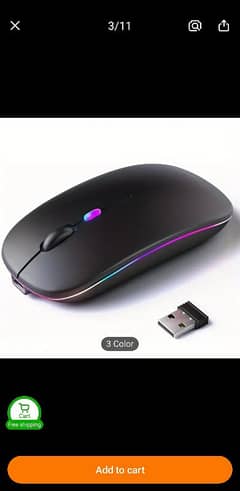 computer mouse