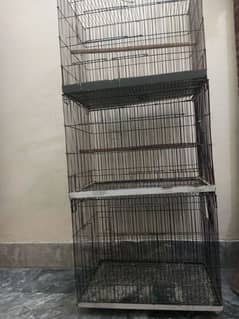 Birds cage