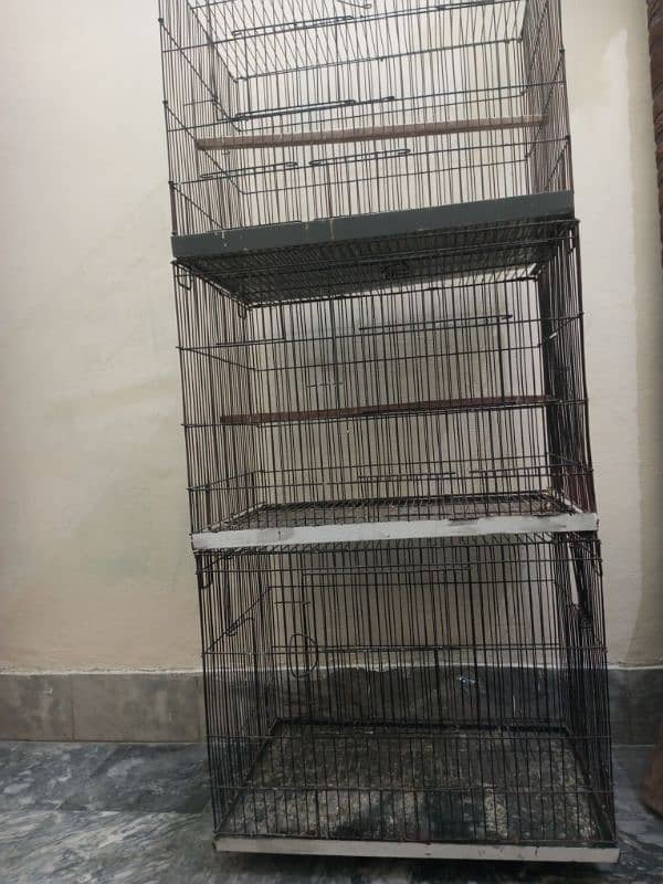 Birds cage 0