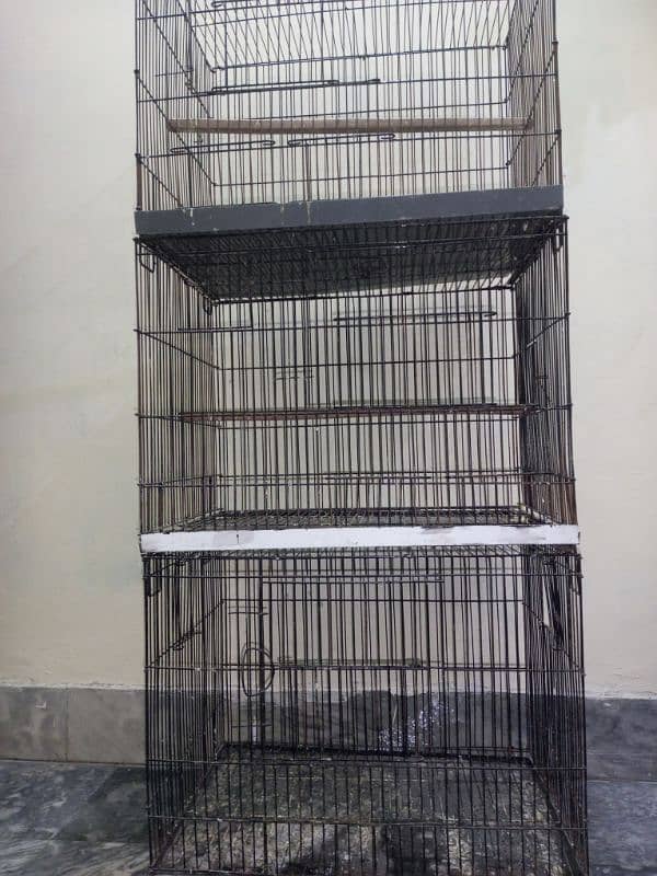 Birds cage 1