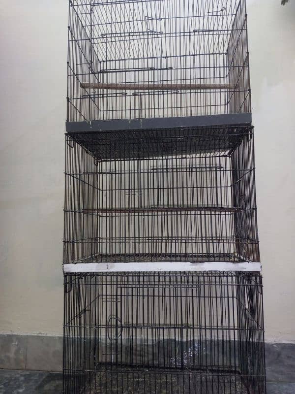 Birds cage 4