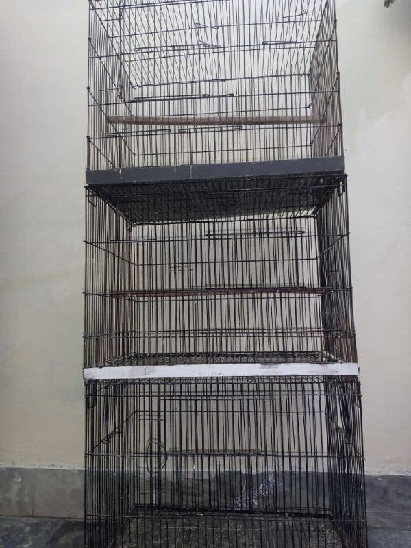 Birds cage 5