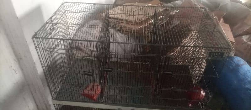 cage for sale 1