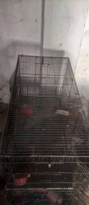 cage for sale 4