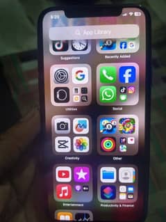 Iphone xs 256 gb 4 month sim working