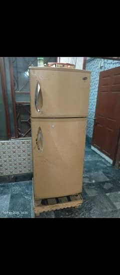 super gold Refrigerator medium size condition 10/8 Well and good