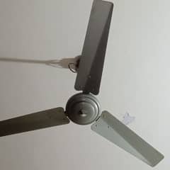 fan celling