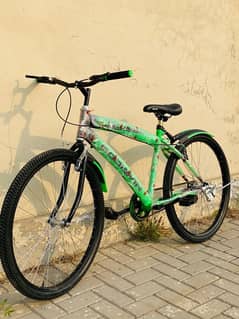 Goodwin MTB Branded Mountain Cycle