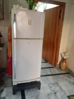 refrigerator