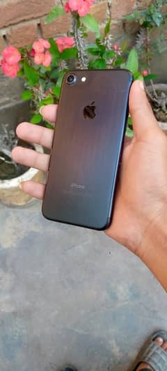 IPhone 7 Approve 03414737198