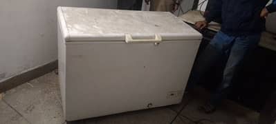 Haier Freezer