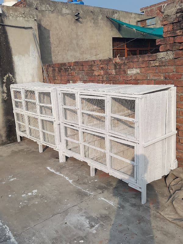 White Birds cage 0