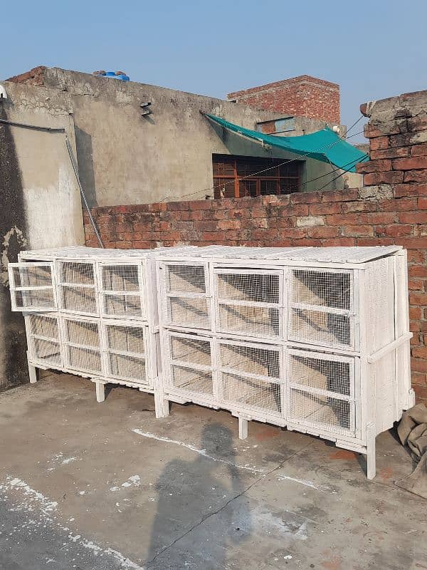 White Birds cage 1