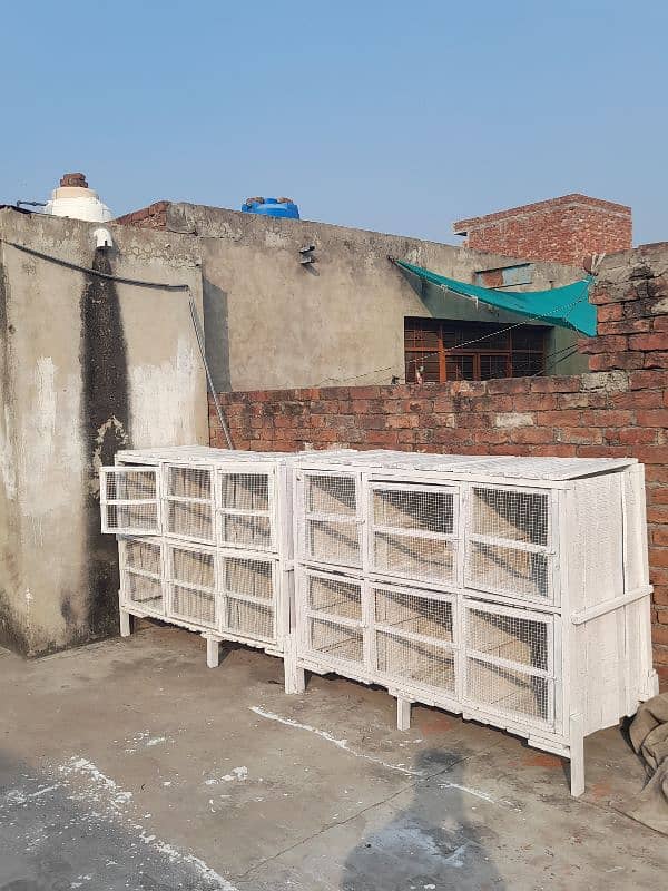 White Birds cage 2