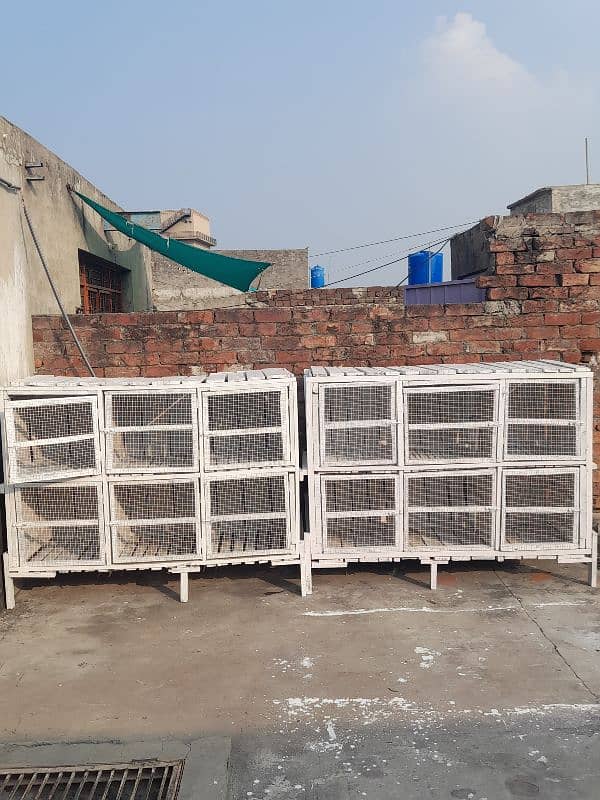 White Birds cage 4