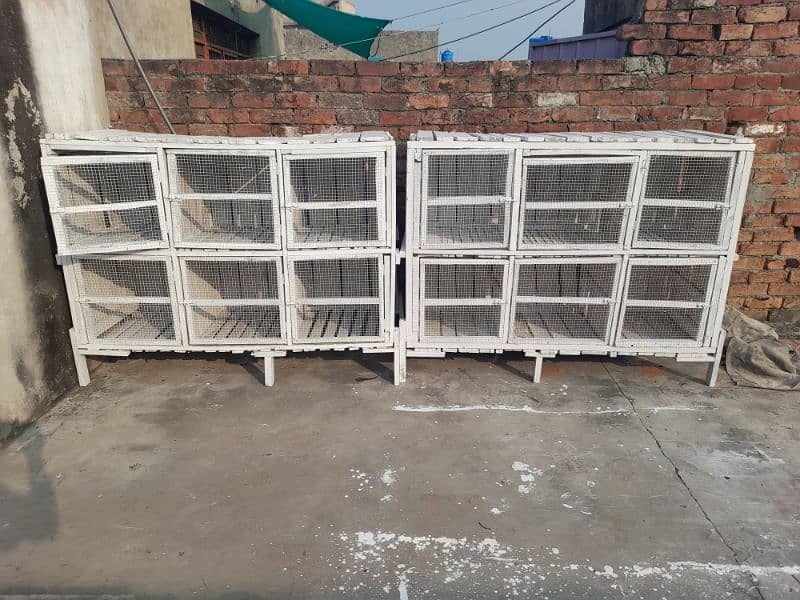 White Birds cage 5