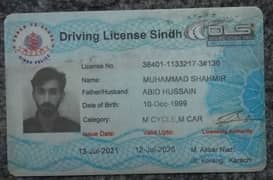 i need home driver job