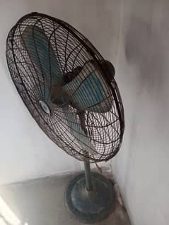 Tarannum fan & small motor