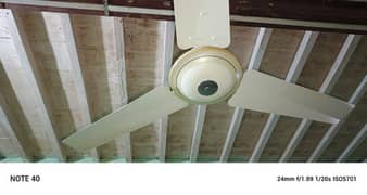 GFC ceiling fan AC ( original pure copper ) 99%