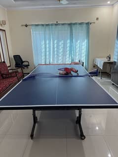 Table Tennis Table – Excellent Condition!