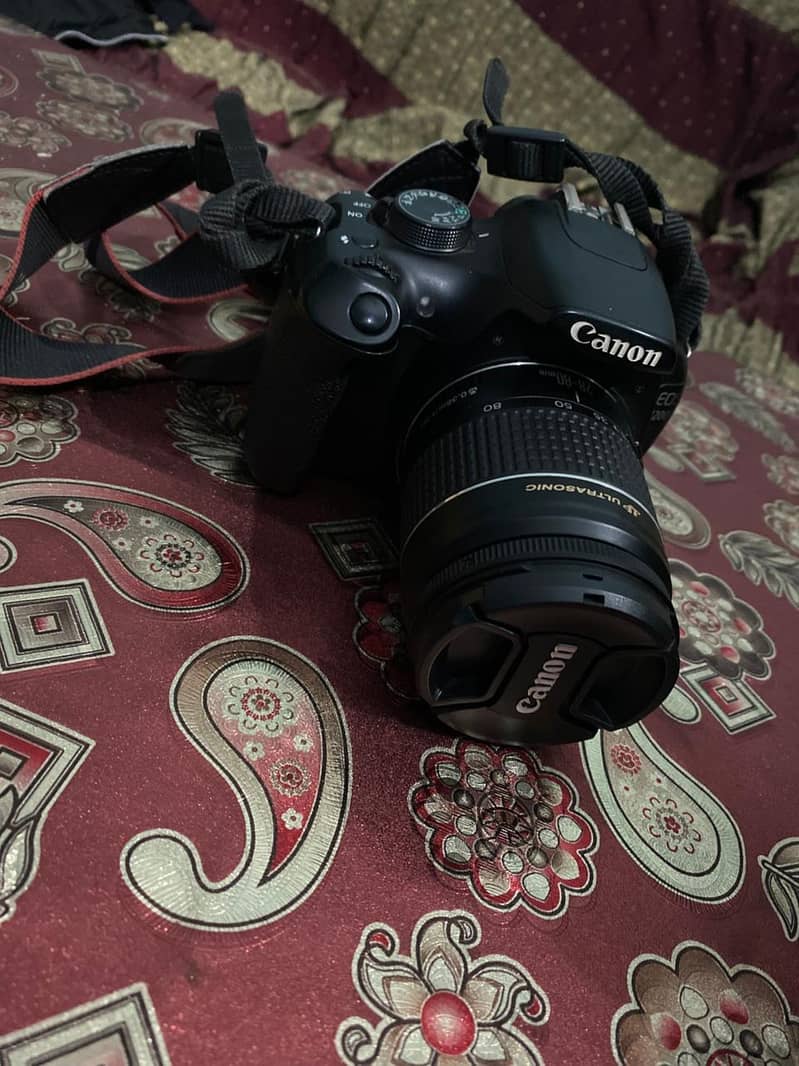 Canon D1200 1