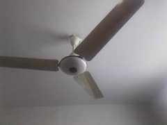 Ceiling Fan