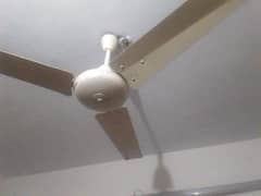 Ceiling Fan