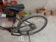 Feroce Forever bicycle for Sale