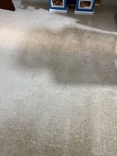 carpet with foam