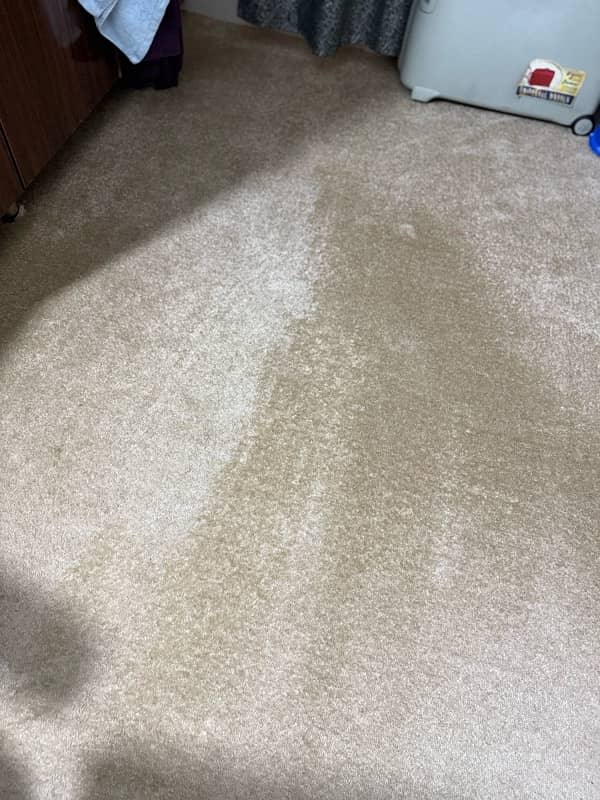 carpet with foam 2