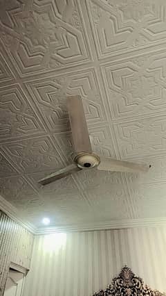 ceiling fan for sale